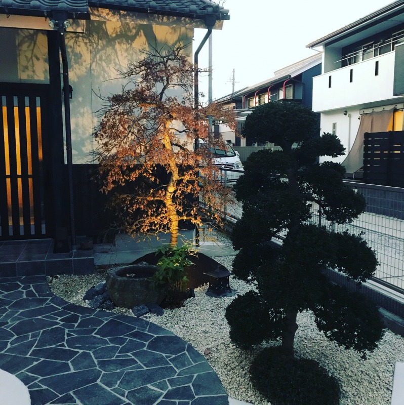 和なお家のシンボルツリー 写真