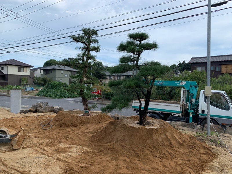 美浜町新築植栽