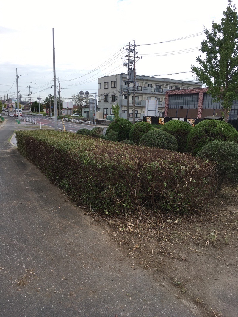 県道草刈り