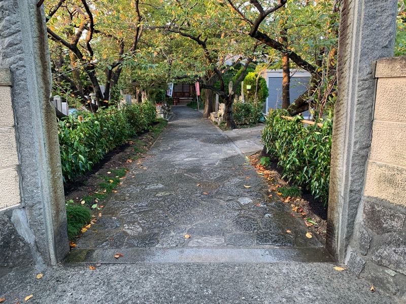 半田市のお寺の参道の植栽