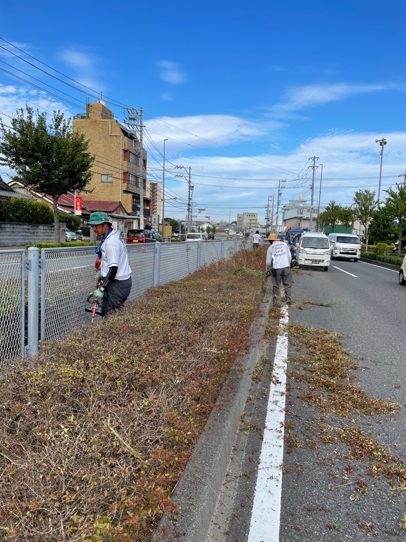 お手伝い♫道路植栽帯の草刈り刈り込み剪定♫