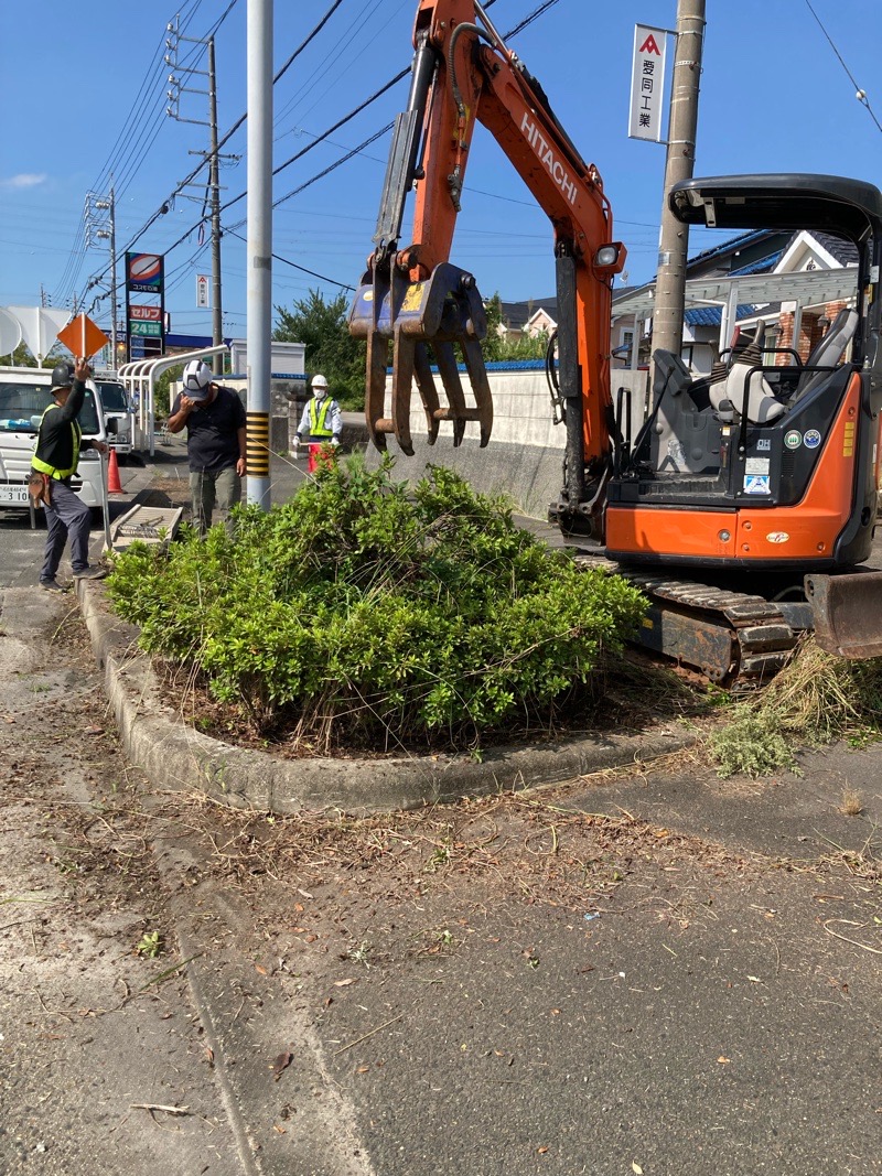 9月27日から路線の抜根作業をしています♫