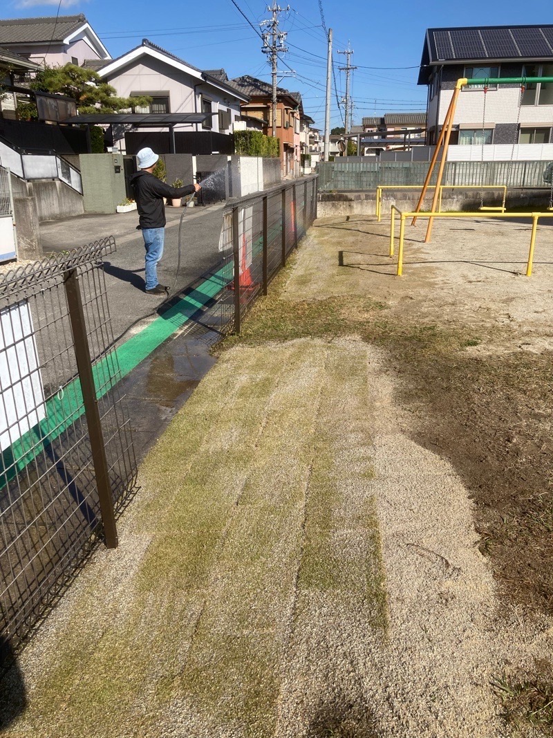 公園の芝補修♫