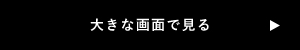 大きな画面で見る