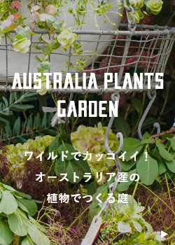 ワイルドでカッコイイ！オーストラリア産の植物でつくる庭