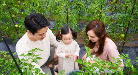 家族で家庭菜園を始めませんか?