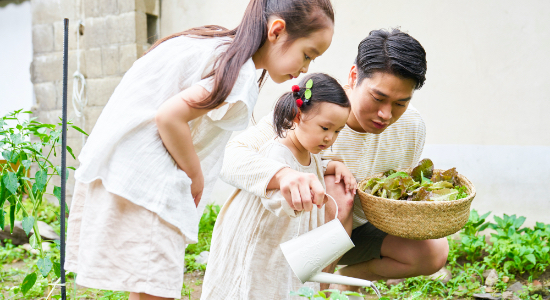 庭の準備ができたら、早速植物を植えてみましょう。