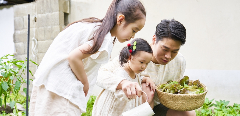 庭の準備ができたら、早速植物を植えてみましょう。