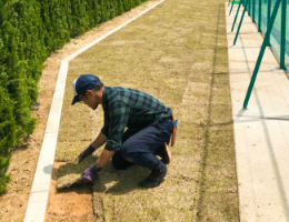 芝生づくり