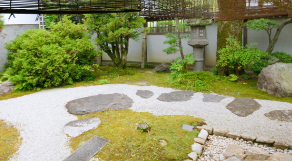 植物を使って素敵な「和」に癒されてみませんか?