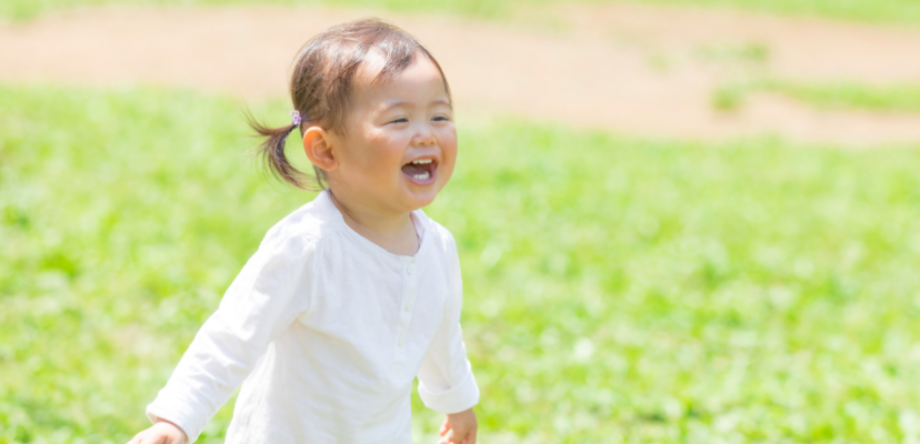 芝生づくり